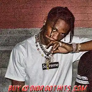 Picture for song '(FREE) My Brother (TRAVIS SCOTT BEAT)' by artist 'Dior Louis'