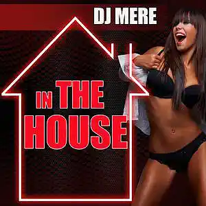 Picture for song 'Dj Mere - In The House' by artist 'Dj Mere Electronic'