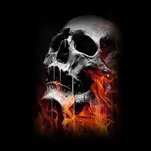 Picture for song 'FALL' by artist 'HOLLYWOOD LEGEND PRODUCTIONS'