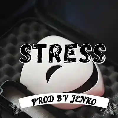 Picture for song 'STRESS' by artist 'JENKO BEATS'