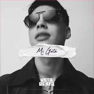 Picture for song '''MI GATA''' by artist 'Notabeatz'
