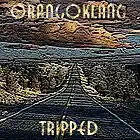 Picture for song 'Tripped' by artist 'Orangoklang'