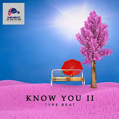 Picture for song 'Simi - Know You II feat. Ladipoe (Type Beat)' by artist 'Shifabeatz'