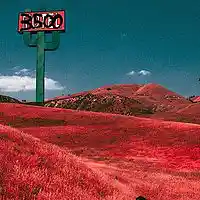Picture for song 'Buffalo' by artist 'bigcatbeats'