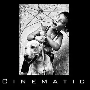 Picture for song 'Human' by artist 'Cine.matic.one'