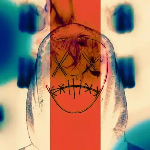Artist picture