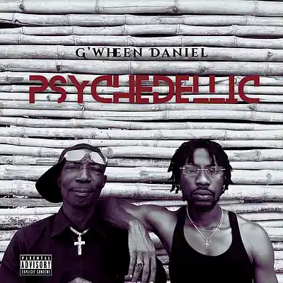 Song picture of 'Psychadelic'