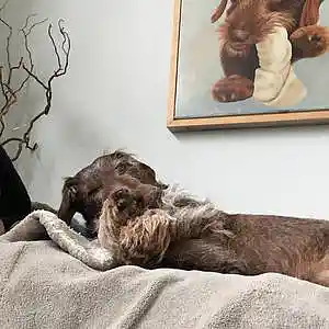 Picture for song 'Happy Strings' by artist 'LARZNEW'