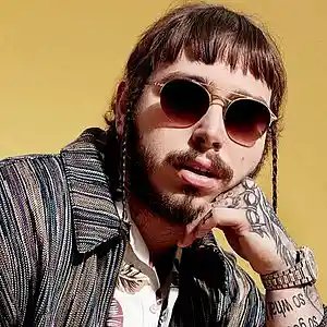 Picture for song 'Post Malone type beat' by artist 'mikkniko'