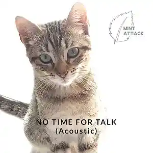 Picture for song 'No Time For Talk (Acoustic)' by artist 'Mint Attack'