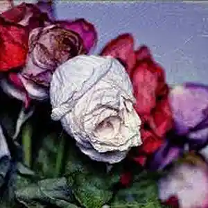 Picture for song 'Dead Flowers' by artist 'paul gorman and the hypnotist collectors'