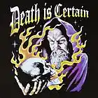 Picture for song 'Death Is Certain (Free Download)' by artist 'Pikk'