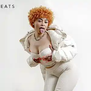 Picture for song 'Girls a Liar - PinkPantheress, Ice Spice Type beat' by artist 'Quodis'