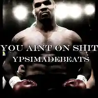 Picture for song 'You Aint on Shit Full Beat' by artist 'YpsiMadeBeats'