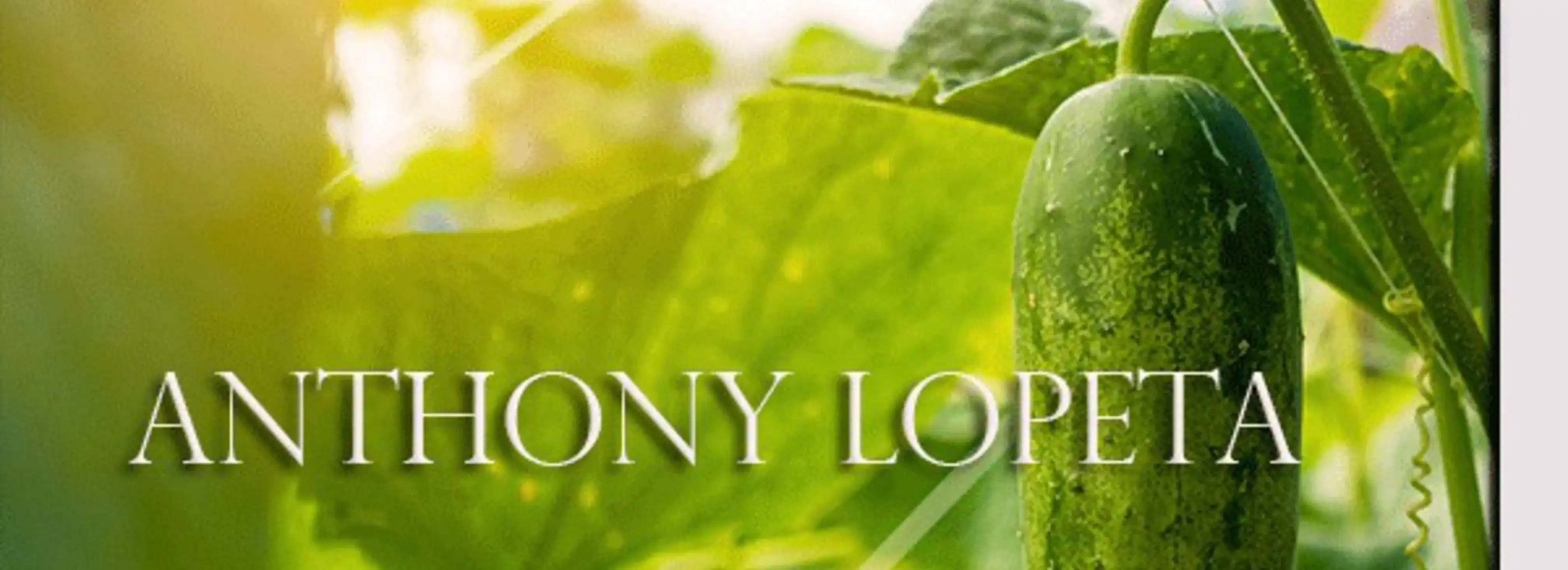 cover pic