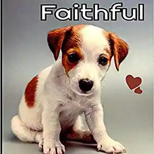 Picture for song 'My Friend' by artist 'CHRISTIAM DISCIPLE'
