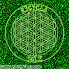 Picture for song 'really really' by artist 'JON GILLETTE'