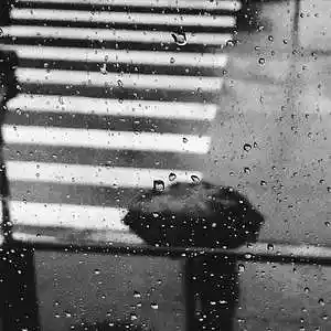 Picture for song 'R&B RAIN "SURF" (BUY 1 GET 4 FREE)' by artist 'LONDONAVE'