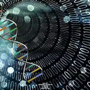 Picture for song 'san juarez fields of innocence' by artist 'mcmakktenicetxtheprince'