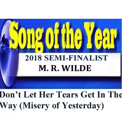 Picture for song 'Don't Let Her Tears Get In Your Way' by artist 'M. R. Wilde'