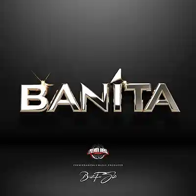Picture for song 'BANITA' by artist 'PREMIERARENA'