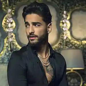 Picture for song 'Alma del Sur' by artist 'Snegur'