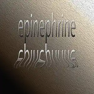 Picture for song 'epinephrine' by artist 'Stereo2tape'