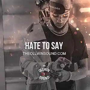 Picture for song 'Hate To Say' by artist 'THEOLLWIN'