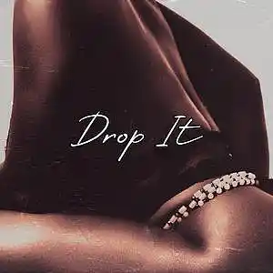 Picture for song 'Drop It (Free Download)' by artist 'Frankenstein Beats'