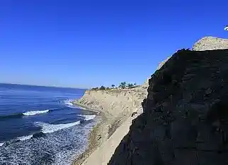 Picture for song 'Lost Angeles' by artist 'Johanna Renfro'