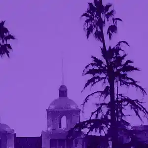 Picture for song 'Beverly Hills (Lil Baby x Lil Durk)' by artist 'LEXI BANKS'