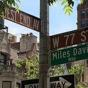 Picture for song 'Omar' by artist 'Los Bandaritos'