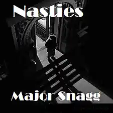 Picture for song 'Nasties [1]' by artist 'Major Snagg'