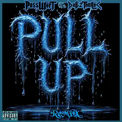 Picture for song 'PULL UP' by artist 'PASSWORT 13-8'
