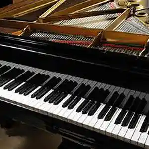 Picture for song 'Tenderly' by artist 'Pianist Tony William'