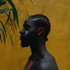 Picture for song 'Beat 2289 Afropop (Play)' by artist 'Yellow Bird'