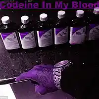Picture for song '2 Chainz x Migos Type Beat Codeine In My Blood' by artist 'Zayroc Beats'