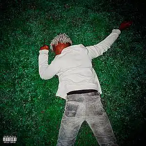 Song picture