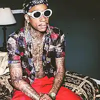 Picture for song 'Skraucey (FREE DL!!) *WIZ KHALIFA*' by artist 'BRAVESTARR'