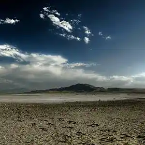 Picture for song 'Human Instinct' by artist 'Kamileon'