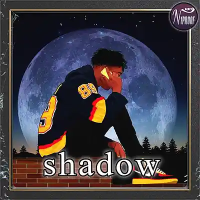 Picture for song 'shadow' by artist 'N1PROOF BEATS'