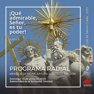 Picture for song 'Solemnidad Santisima Trinidad, 15 de junio' by artist 'Producciones Vandor'