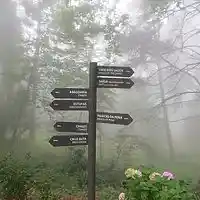 Picture for song 'Confusion ft Alexis VAN EECKHOUT' by artist 'RoF Project'