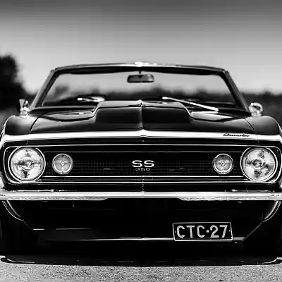 Picture for song 'Muscle' by artist 's9undV1ZNZ K 0 D 3 7'