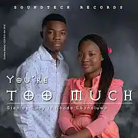 Picture for song 'Youre Too Much Ft Ebunoluwa' by artist 'Stanley Easy'