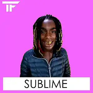 Picture for song 'sublime' by artist 'TrackFiendz'