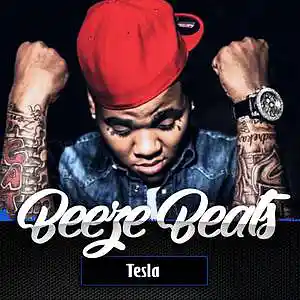 Picture for song 'Tesla (2 for 1)' by artist 'BeezeBeats'