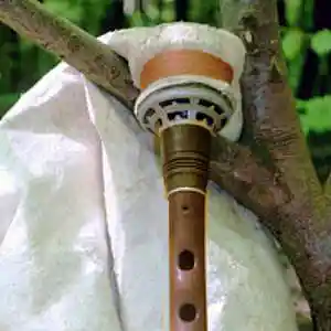 Picture for song 'Karaj majcho' by artist 'Christian Faivre'