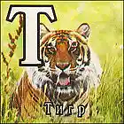 Picture for song 'Tiger Dooy' by artist 'Michael Ogorodov'