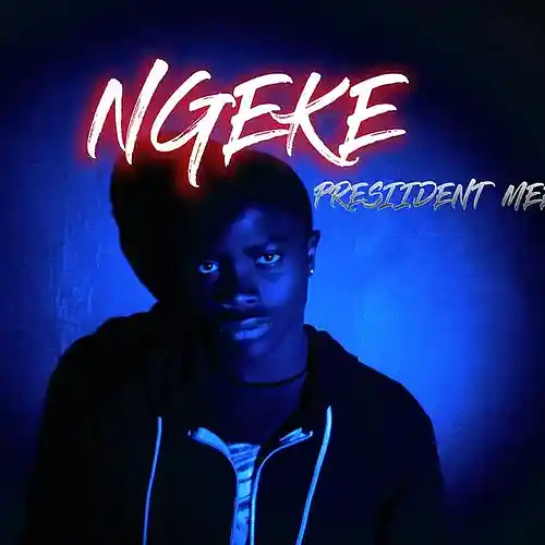 Picture for song 'Monkeys' by artist 'Presiident Meelo'